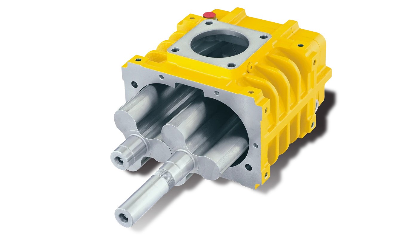 Rotary screw blowers 